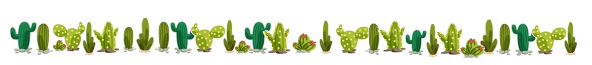 Bandeau-cactus.png