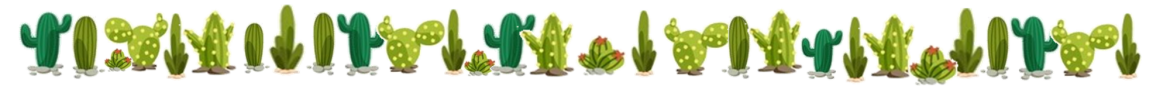 bandeau-cactus-2.png