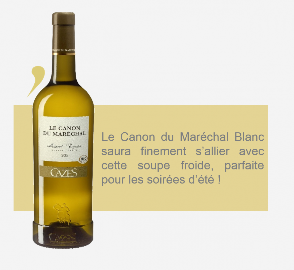 Canon-du-marechal-fond-gris-23.png