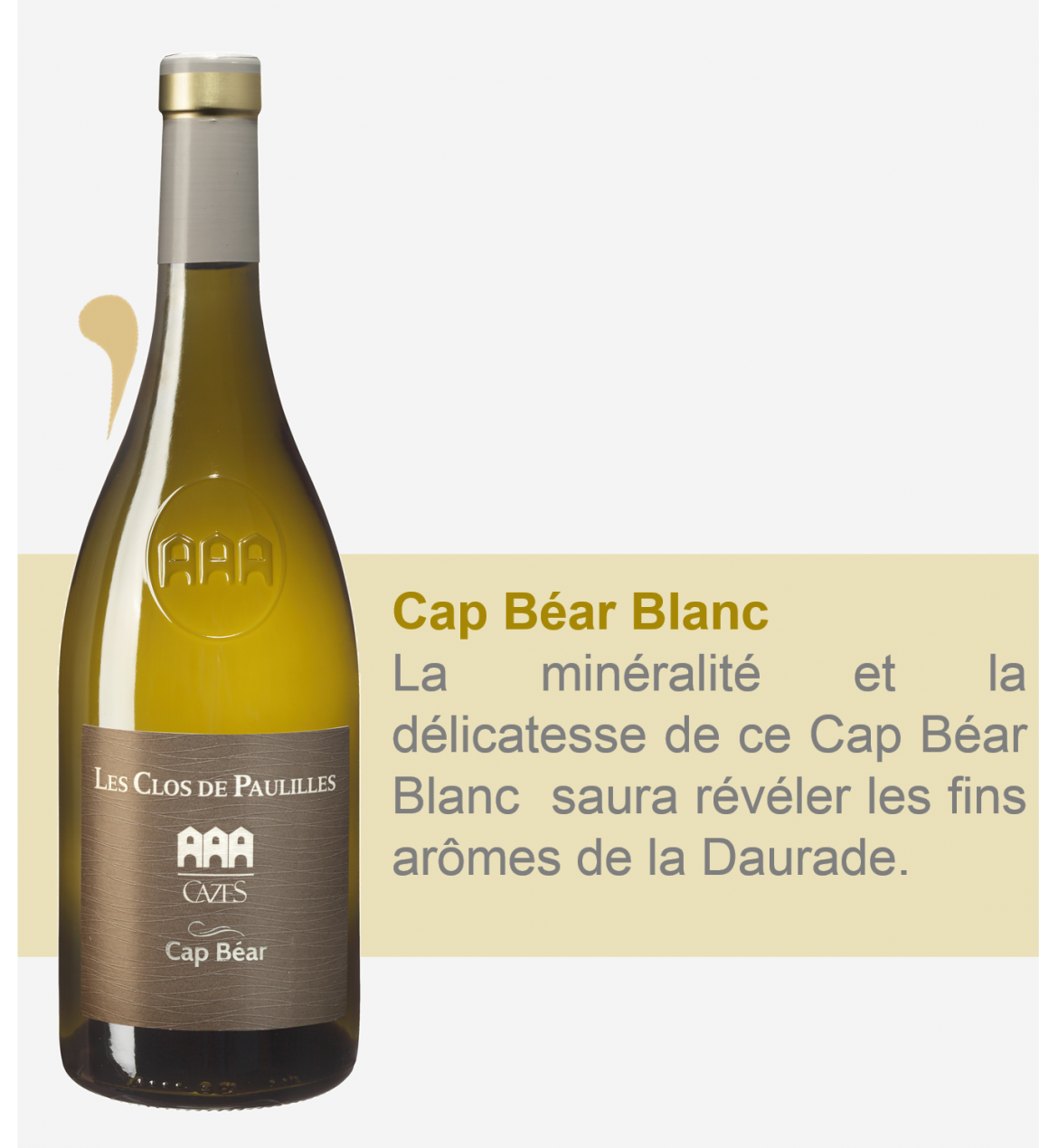 Cap-Bear-Blanc-1.png