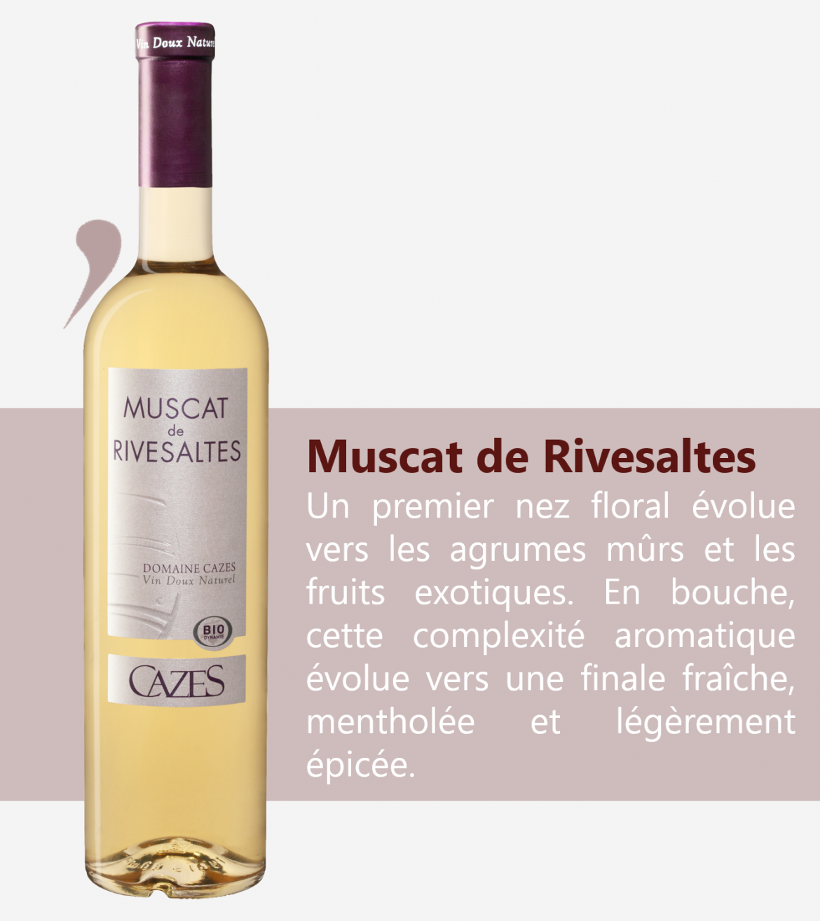 Fiche-Muscat.png