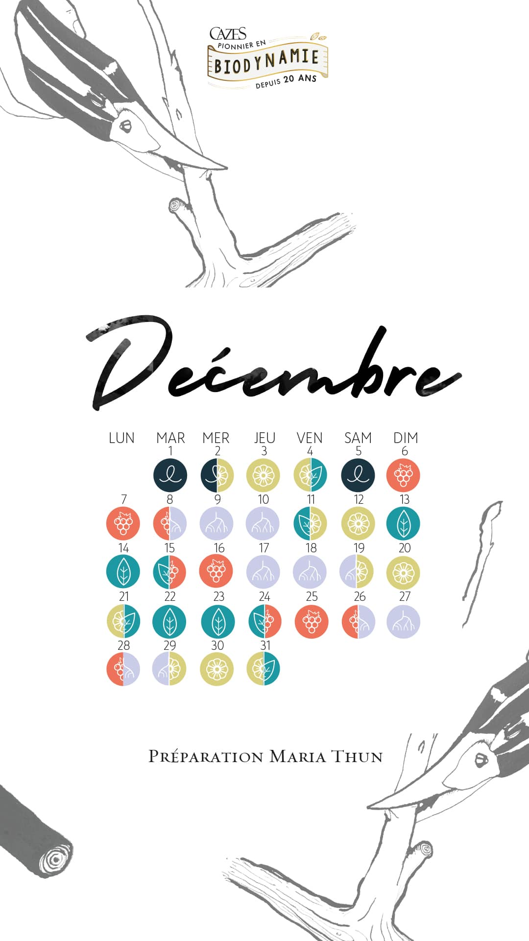 12-DECEMBRE-phone.jpg